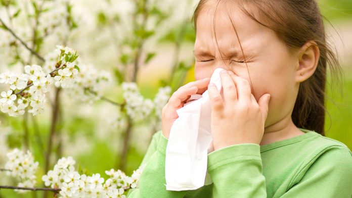 allergia primavera cure