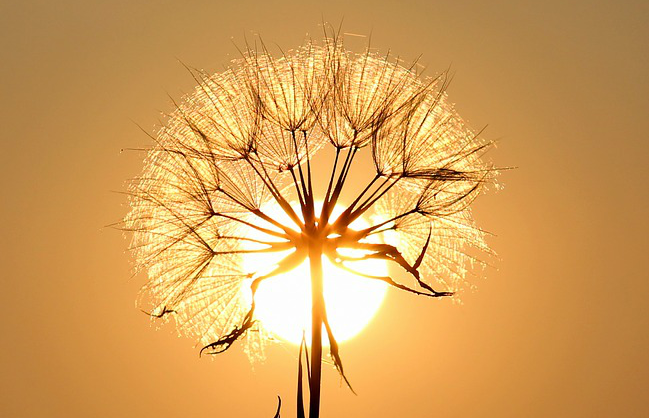 preparare la pelle al sole