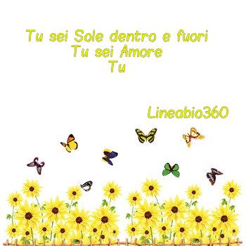 girasole-lineabio360